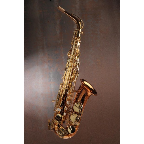 Saxophone alto ADVENCES Série Bronze