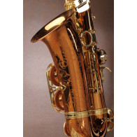 Saxophone alto ADVENCES Série Bronze