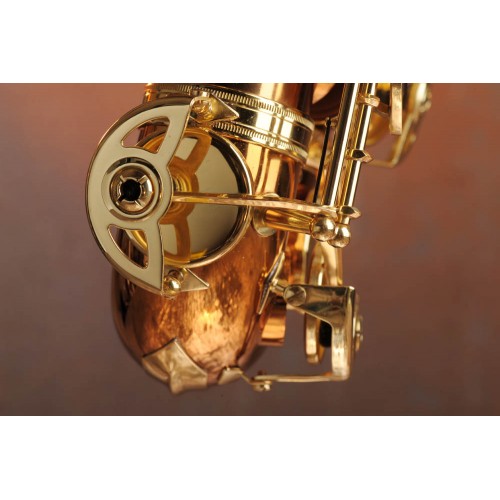 Saxophone alto ADVENCES Série Bronze