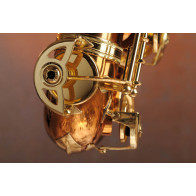 Saxophone alto ADVENCES Série Bronze