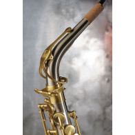 Saxophone alto ADVENCES Série Maillechort Brossé