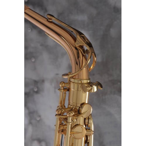 Saxophone alto ADVENCES Série J