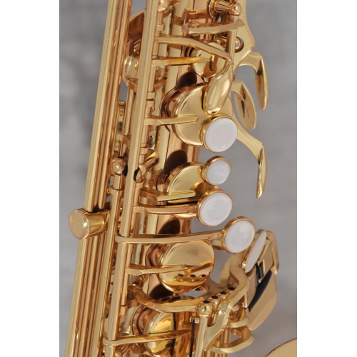 Saxophone alto ADVENCES Série RJ 2