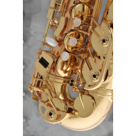 Saxophone alto ADVENCES Série RJ 3