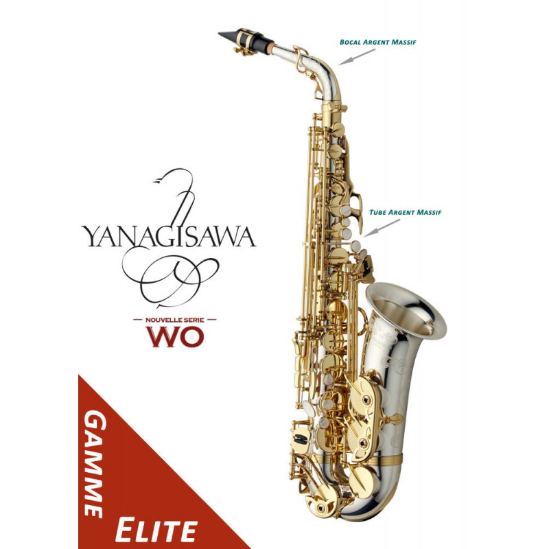 Saxophone alto YANAGISAWA WO30 1