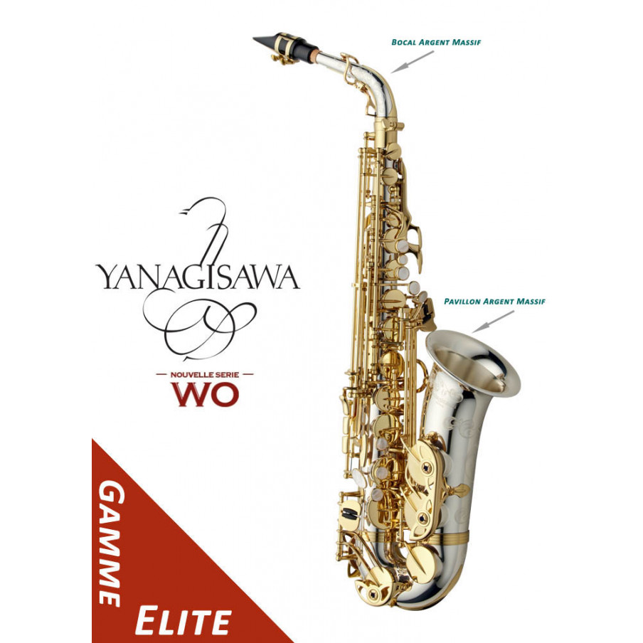 Saxophone alto YANAGISAWA WO33 1