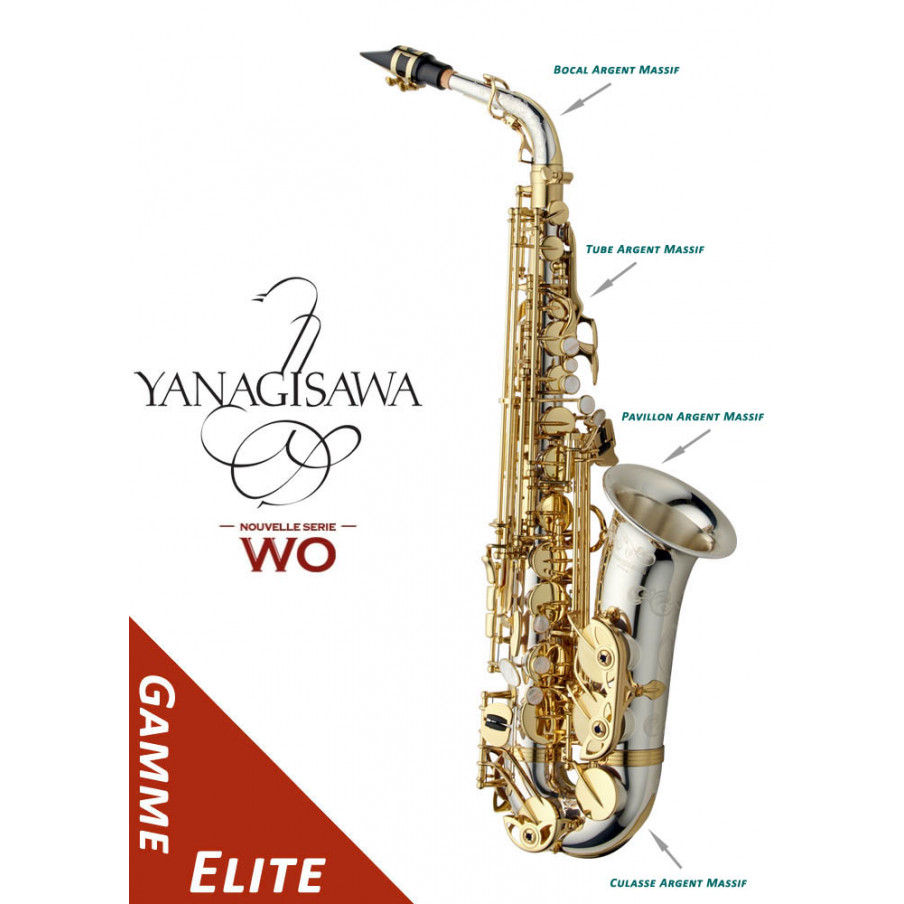 Saxophone alto professionnel YANAGISAWA A-WO37 gamme Elite à l'achat  Atelier des Vents Marseille