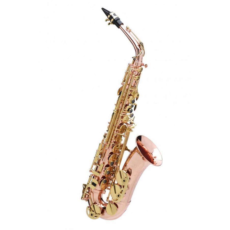 Saxophone Miniature Saxophone de poche Sax Mini Saxophone avec embouchures  Alto