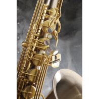 saxophone ténor ADVENCES Série Maillechort Brossé