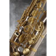 saxophone ténor ADVENCES Série Maillechort Brossé