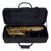 Etui saxophone alto PROTEC Pro Pac PB304