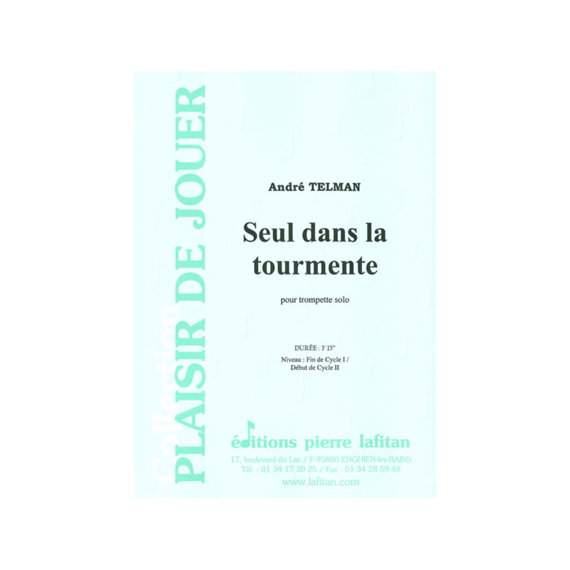 Seul Dans la Tourmente