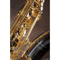 saxophone ténor ADVENCES Série Maillechort Verni