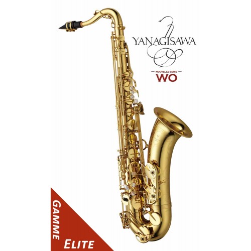 Saxophone Ténor T-WO10...