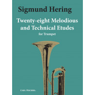 Melodious & Technical Etudes(28)