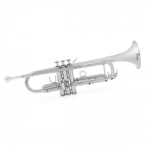 Trompette Sib New Standard...