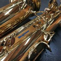 Saxophone alto d'occasion YANAGISAWA A-WO1 verni