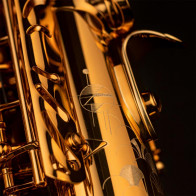 Saxophone Alto Selmer Signature