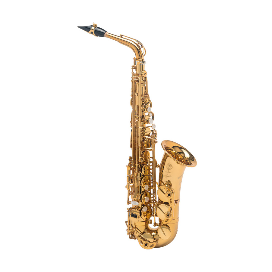 Saxophone Alto Selmer Signature