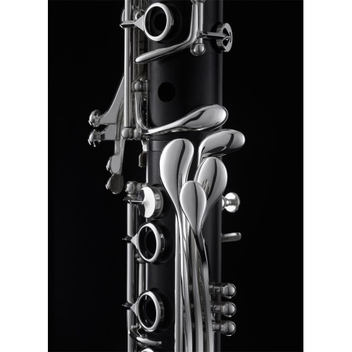Clarinette en la SELMER Privilège