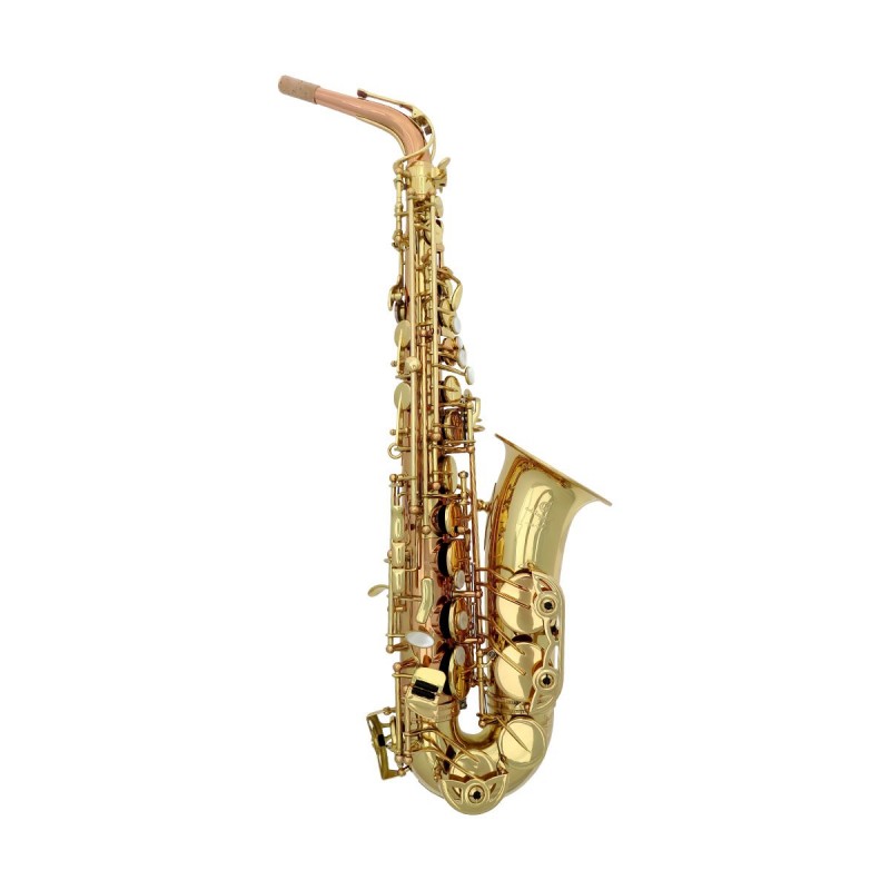 Saxophone alto ADVENCES Série RJ