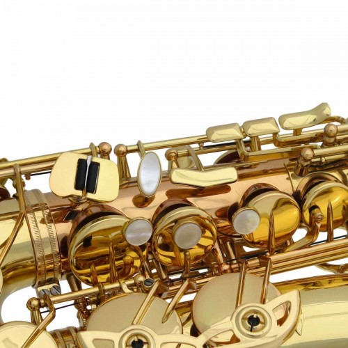 Saxophone alto ADVENCES Série RJ