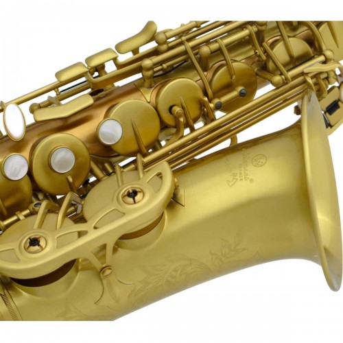 Saxophone alto ADVENCES Série RJ Brossé