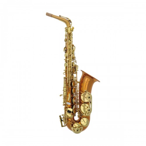 Saxophone Alto Série Bronze...