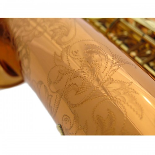 Saxophone alto ADVENCES Série Bronze