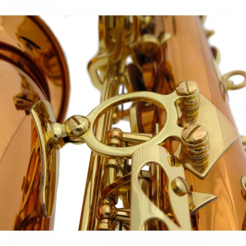 Saxophone alto ADVENCES Série Bronze