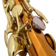 Saxophone alto ADVENCES Série Bronze