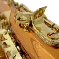 Saxophone alto ADVENCES Série Bronze