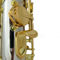 Saxophone alto ADVENCES Série Maillechort Verni