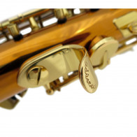 Saxophone soprano ADVENCES Série Bronze S900V