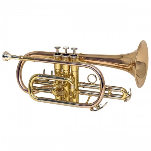 Cornet Sib MTP 300G