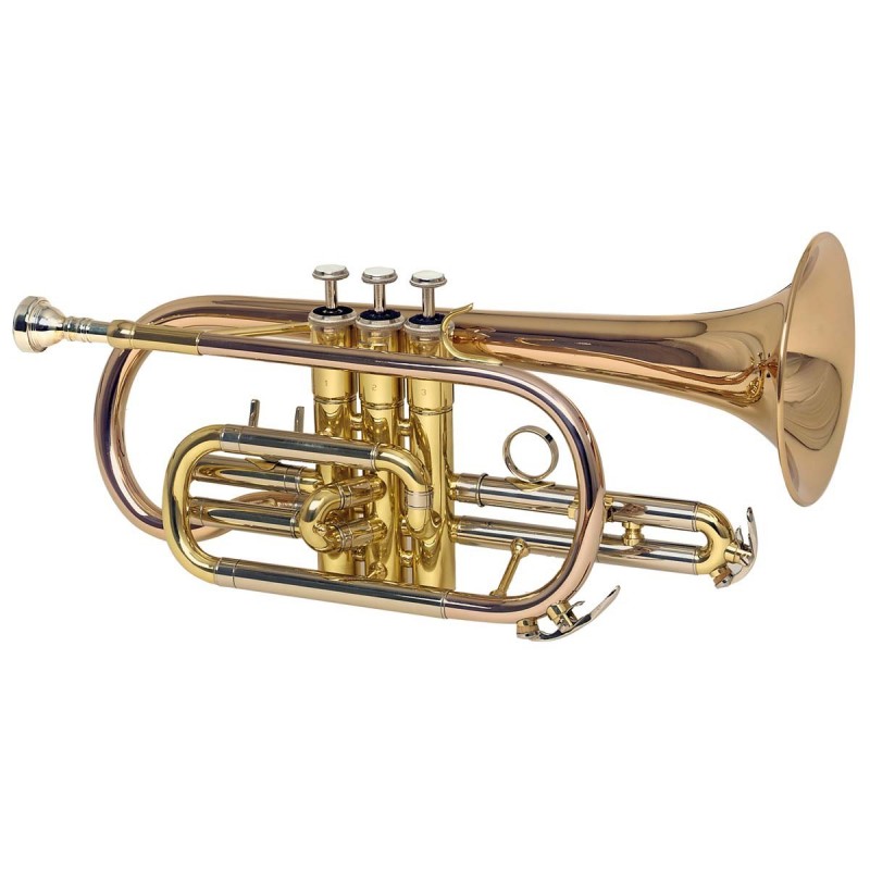 Cornet Sib MTP 300G