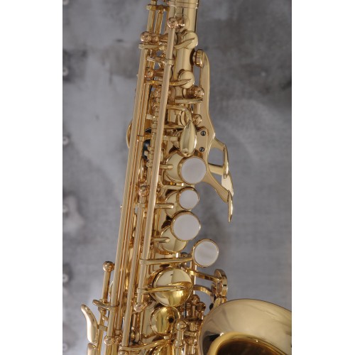 Saxophone soprano courbe ADVENCES Série J