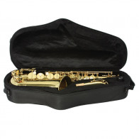 Saxophone Alto "Petite Main" AlphaSax 371A - Trevor James
