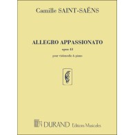 9790044016457DF_00209400 Allegro Appassionato opus 43