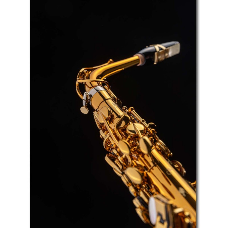 Emboîture à serrage concentrique du saxophone alto SELMER SUPREME