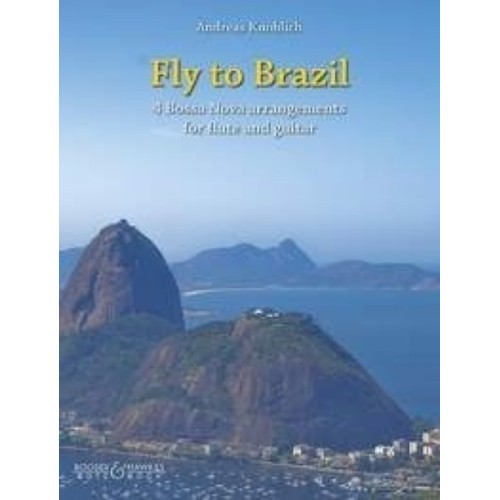 Fly to Brazil 