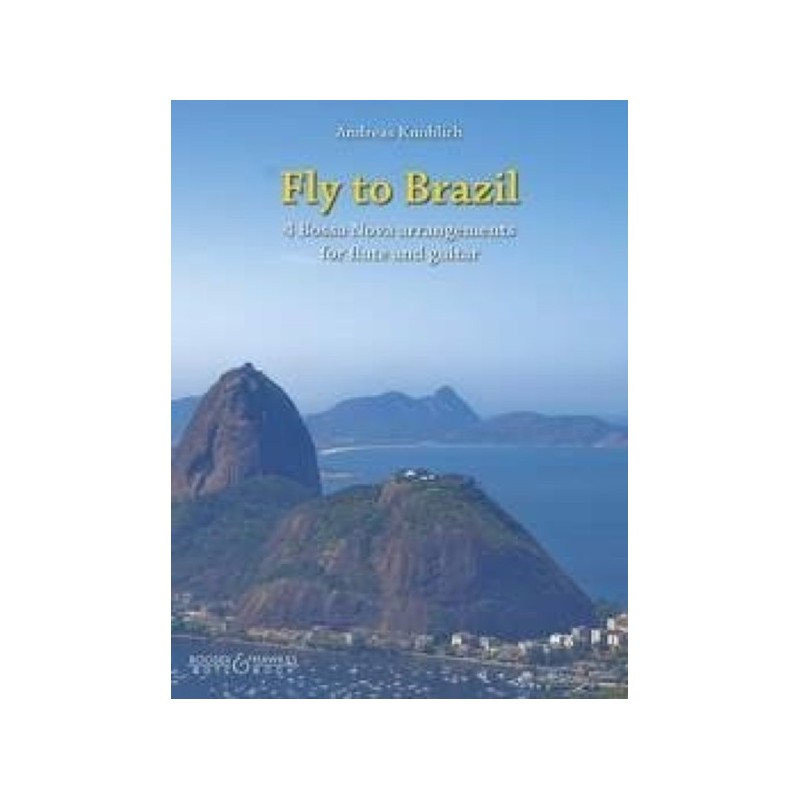 Fly to Brazil 