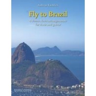 Fly to Brazil 