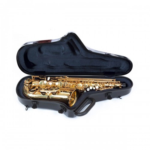 Etui pour saxophone alto BAM Stage STAGE4111