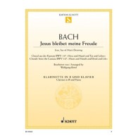 9790001169387ED0_9869 Jésus que ma joie demeure BWV 147