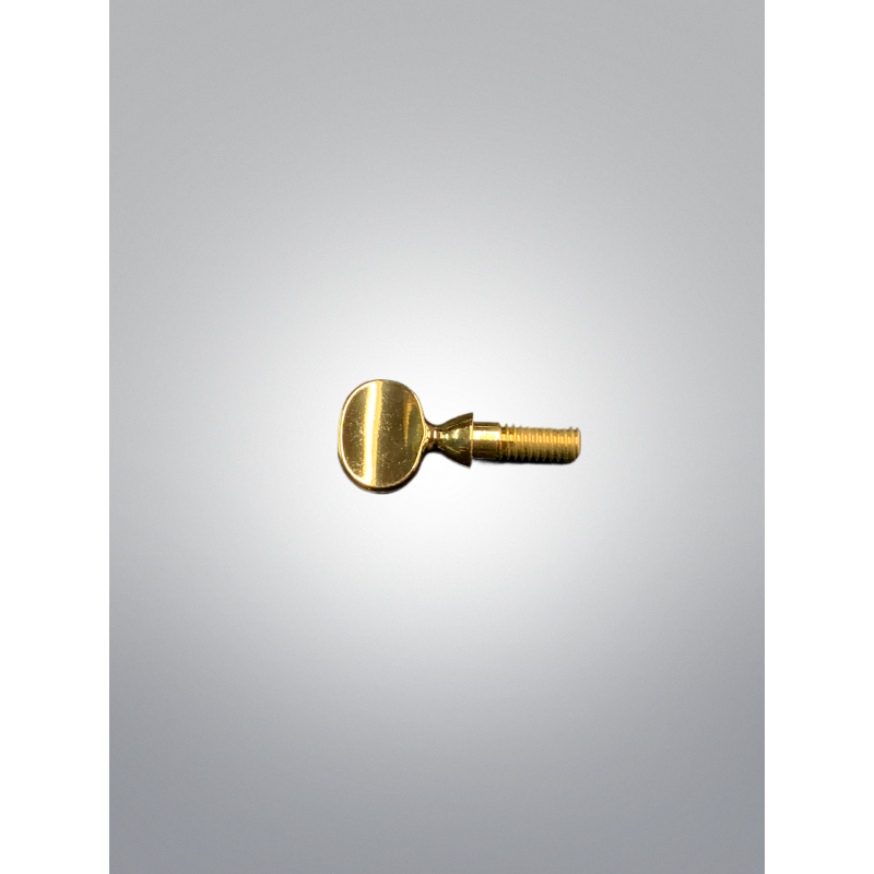 Vis De Serrage Bocal Vernie (jaune) - Selmer