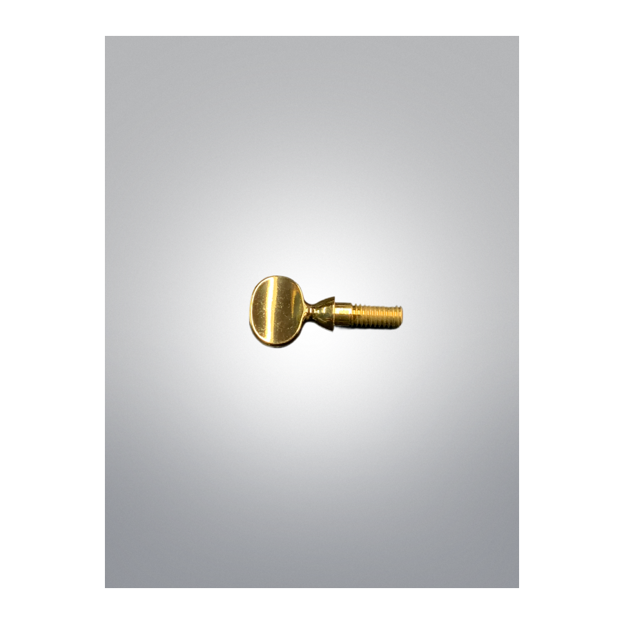 Vis De Serrage Bocal Vernie (jaune) - Selmer