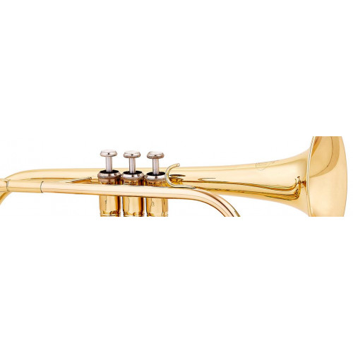 Cornet Sib Basic 300 - MTP