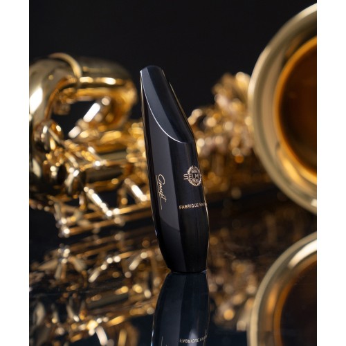 Bec Saxophone Baryton Concept - Selmer