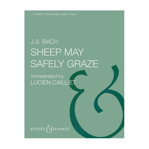979005128057573999624229BHI28057 Sheep May Safely Graze